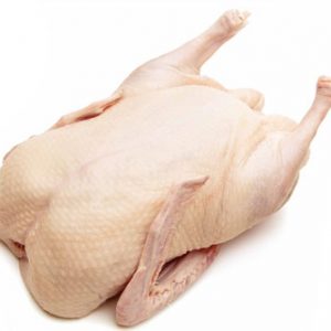 fresh-whole-duck